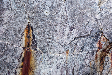 Rostigerstein