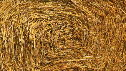 Twisted straw pattern, background