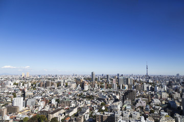 Obraz premium 東京都市風景 水道橋から望む東京スカイツリー 上野 浅草方面と東京都心の街並