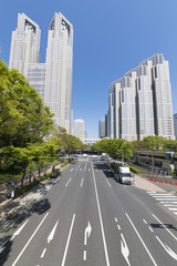 Fototapeta premium 東京都庁と新宿高層ビル群 晴天と緑