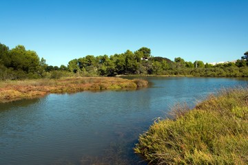 Obraz premium Parc natural de's Albufera des Grau