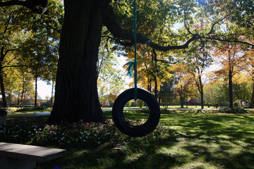 tire swing on upsacle farm