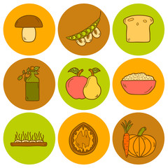 Set of modern icons in hand drawn style on vegan food theme