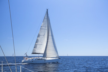 Boats in sailing regatta.