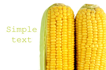 corn isolated on the white background