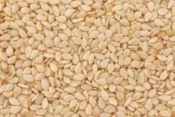 Sesame Seeds