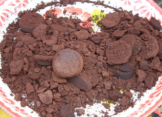 Coffee ground