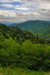 Summertime in the mountains