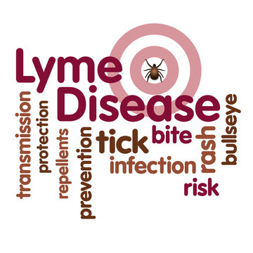 Lyme Disease, Tick, bulls eye rash, infection, risk, word cloud 