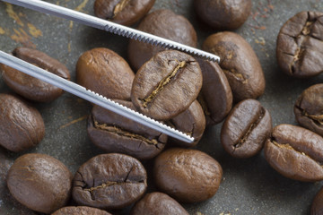 ピンセットでつまみ上げたコーヒー豆
