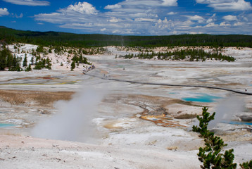 Landschaft im Yellowstone Nationalpark, Wyoming, USA