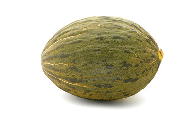 Piel de Sapo Melon on White Background