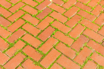 Red brick walkway
