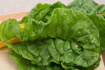 スイスチャード