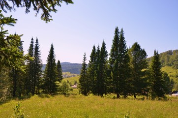 Восточная Сибирь.Алтай.