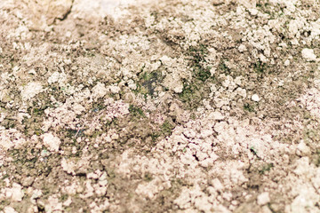 Cracked clay textured background