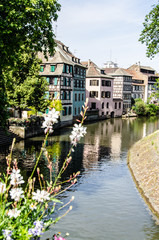 Obraz premium Fachwerkäuser mit Blumen am Kanal in Straßburg