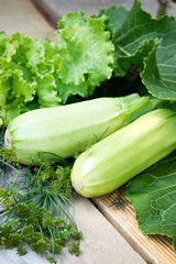 Vegetables: Marrow with horseradish, lettuce and dill