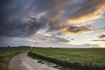 Beautiful Summer sunset landscape Steyning Bowl on South Downs