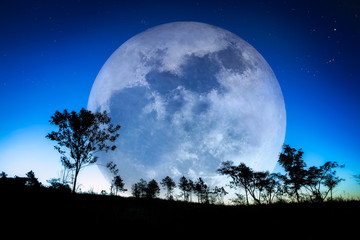 Fototapeta na wymiar Big Moon