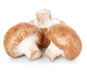 Brown champignons mushrooms