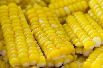 Sliced Steamed Sweet Corn