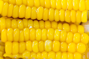 Sliced Steamed Corn