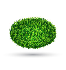 Green grass oval with shadow isolated on white background