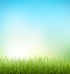 Obraz na płótnie Canvas Green grass lawn with sunrise on blue sky. Floral nature spring