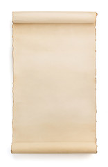 parchment scroll isolated on white