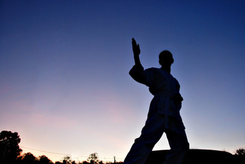 Healthy lifestyle : Silhouette of a girl practicing the karate d