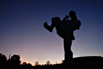 Healthy lifestyle : Silhouette of a girl practicing the karate d