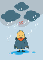 duck in rainny day
