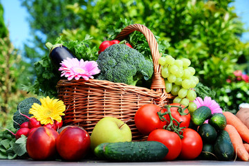 Variety of fresh organic vegetables and fruits in the garden