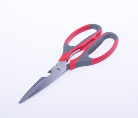 scissors or kitchen scissors on a background.