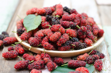 Fresh mulberry in wooden bowl