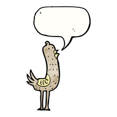 funny cartoon bird