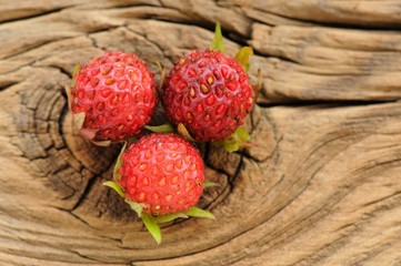 Three wild strawberries Fragaria viridis on cracked wooden board