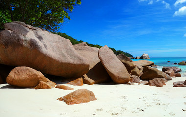Fototapeta na wymiar Plage des Seychelles