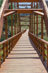 Fototapeta na wymiar Wooden pathway, bridge