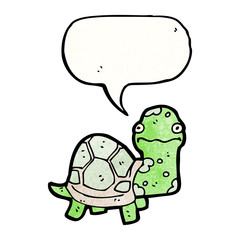 cartoon tortoise