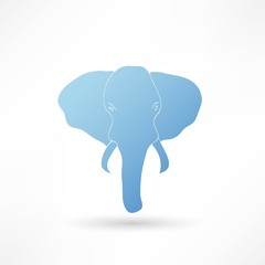 Elephant icon