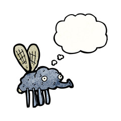 gross fly cartoon