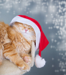 Weihnachten/Nikolaus