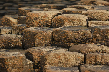 Giant's causeway - tourist site in Northern Irland