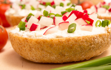 buns with cottage cheese and fresh radish