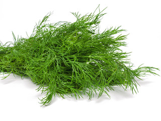 Dill