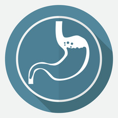 Icon Human stomach on white circle with a long shadow