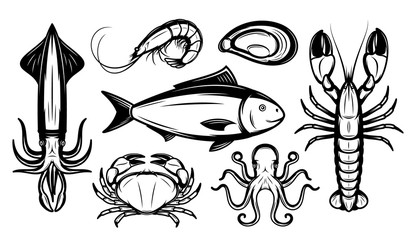 Seafood Collection Isolated on White