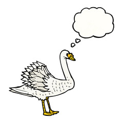 swan illustration
